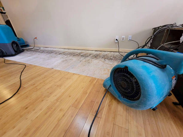 Professional Burst Pipe Water Damage technician working in Pinecliffe, CO